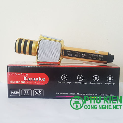 Micro Karaoke Magic SD17